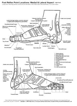 Reflexology Foot Chart, Lateral View