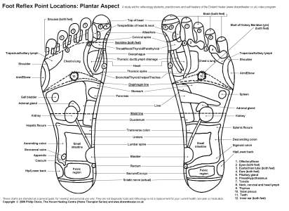 Reflexology Foot Chart, Plantar View