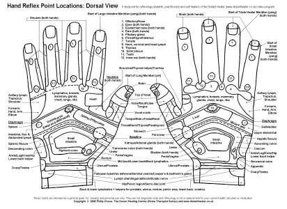 Reflexology Hand Chart, Dorsal View