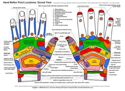 Reflexology Hand Chart, Dorsal View