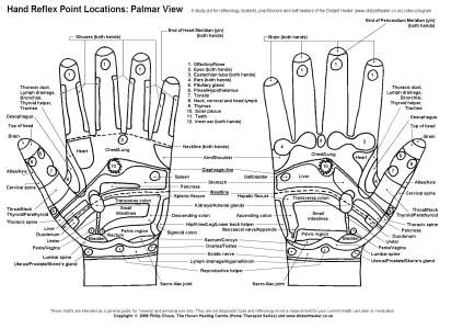 Reflexology Hand Chart, Palmar View